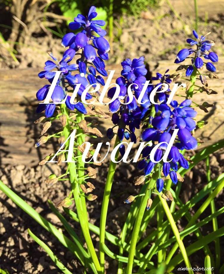 13084078_10208246070602787_452407902_n