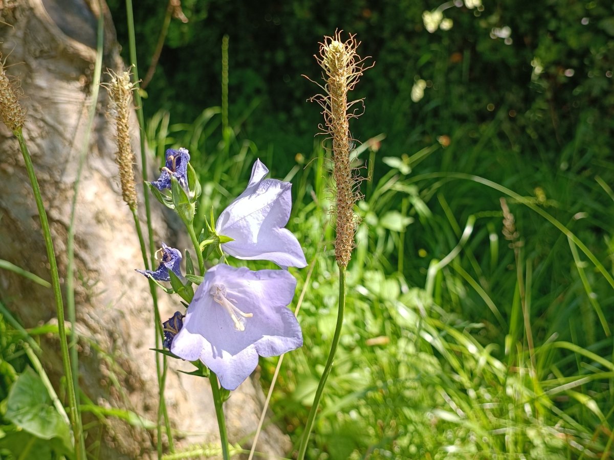 Wunder des Augenblicks